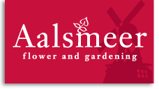 aalsmeer flower and gardening